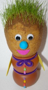 monsieur patate herbe cheveux