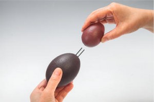 Oeuf polystyrène fourmi