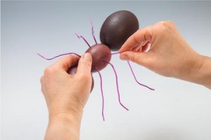 fabriquer fourmi polystyrene