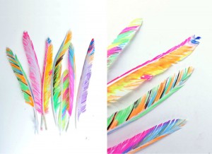 Colorier sur des plumes