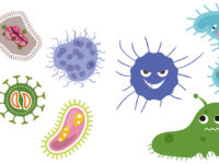 virus et bacteries